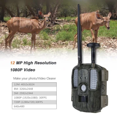 Caméra de chasse infrarouge 4G professionnelle et de haute qualité Caméra de chasse extérieure étanche avec alimentation et boîte en fer